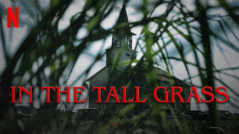 In the Tall Grass