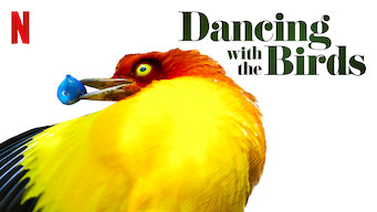 Dancing with the Birds