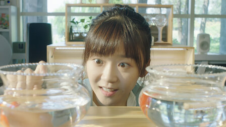 Watch Episode 27. Episode 27 of Season 1.