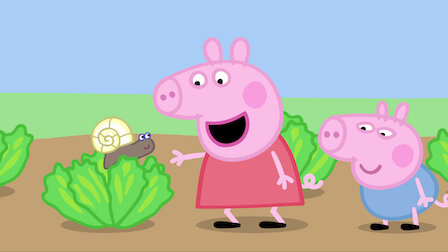 Watch Tiny Creatures / Daddy Pig's Office / Pirate Island / George Catches a Cold. Episode 6 of Season 1.