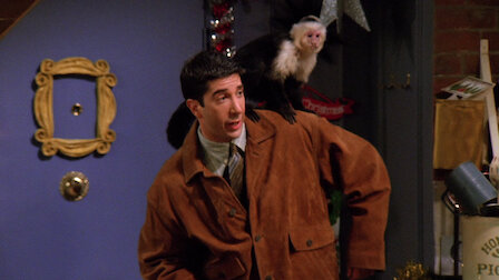 Watch The One with the Monkey. Episode 10 of Season 1.
