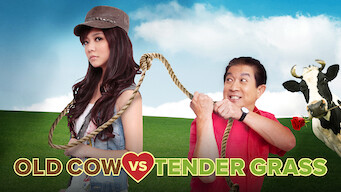 Old Cow vs Tender Grass